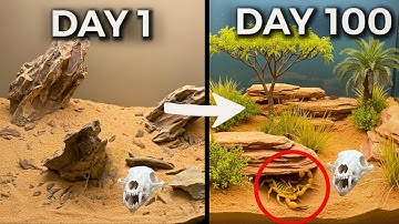 Simulating Sahara Desert for 100 Days