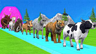 Paint & Animals Cow,Gorilla,Elephant,Lion,Tiger,Dinosaur, Fountain Crossing Transformation Cartoon