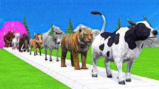 Paint & Animals Cow,Gorilla,Elephant,Lion,Tiger,Dinosaur, Fountain Crossing Transformation Cartoon