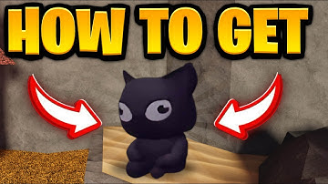 How To COMPLETE TOMOS LOST CAT QUEST In The Forge! (Tomo