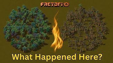 How Deforestation is Destroying Our Planet (and Why You Should Care)