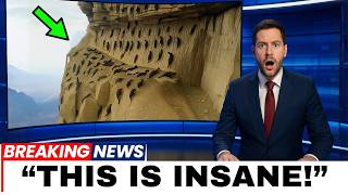 Japan Brought Snake Killers to an Island, What Happened 25 Years Later  Shocked Everyone