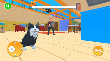 Bad Cat Simulator - Gran Prank - Full Gameplay Walkthrough (Android, iOS)