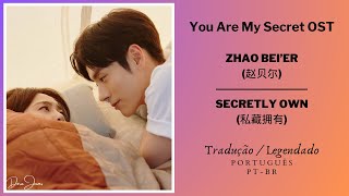 Secretly Own - Zhao Bei'er (私藏拥有 - 赵贝尔) | Tradução/Legendado (Português - BR)