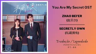 Secretly Own - Zhao Bei'er (私藏拥有 - 赵贝尔) | Tradução/Legendado (Português - BR)