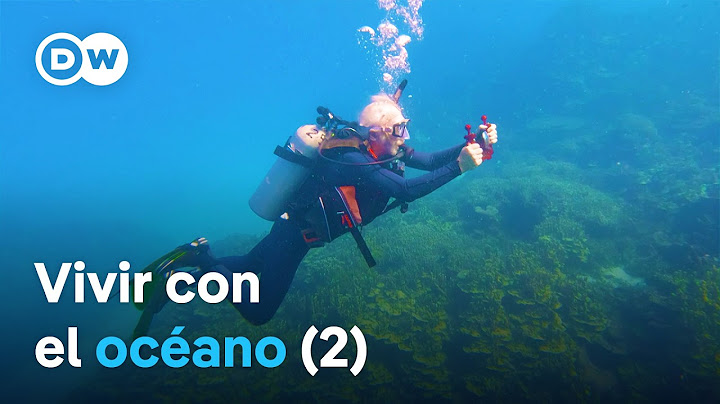 Islas del tesoro en el Pacífico - De las islas Chatham a Enewetak | DW Documental