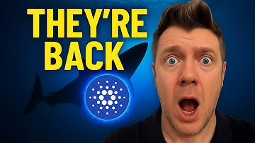 Cardano Whales Just Woke Up… and It Changes EVERYTHING
