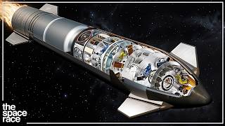 What Life Inside The SpaceX Starship Will be Like