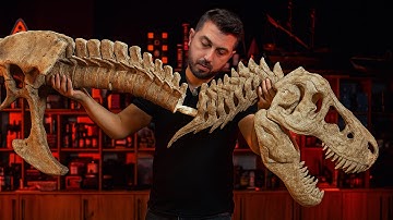 The World’s Largest Fully 3D Printed T-Rex Skeleton