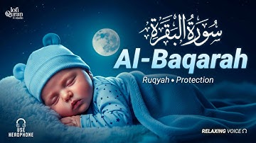 Surah Al-Baqarah Full (سورة البقرة) | Ultimate Most Beautiful Heart Melting Quran #surahbaqarah