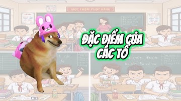 Ding Ding memes: Đặc điểm của các tổ