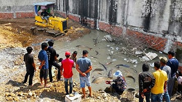 Skill Dozer D31 Remove Mud To Fill Land Corner Wall Complete 90% with Dump Truck 5Ton Unloading Soil
