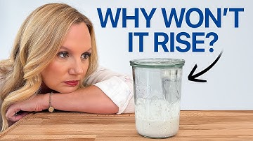 7 Pro Tips About Sourdough That I Wish I Knew as a Beginner