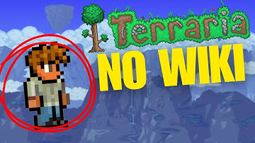 "Terraria