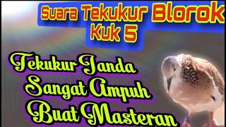 'Suara TekukurBetina Kuk 5 Terbaru 2024!#duniatekukur#mp3tekukurperkutut#suaratekukurbetinakuk3