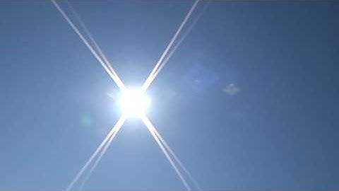 Melting Palms - Echoes (Official Music Video)