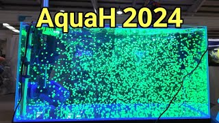 AquaH 2024: The UK's Largest Ever Coral Show (It Was Epic!)