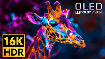 Best of Dolby Vision 16K HDR 120fps Video