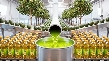 Inside the Avocado Mega-Farm That Feeds the World: Thousands of Tons Produced Every Year