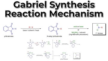 The Gabriel Synthesis Reaction Mechanism