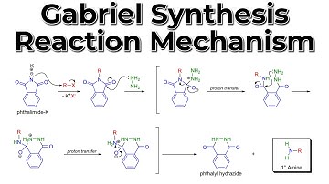 The Gabriel Synthesis Reaction Mechanism