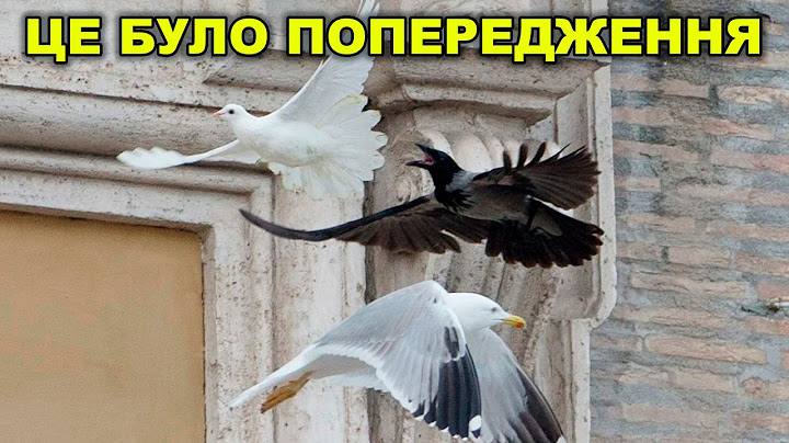 Від кого було знамення 26 (чи 27) січня 2014 року про війну в Україні
