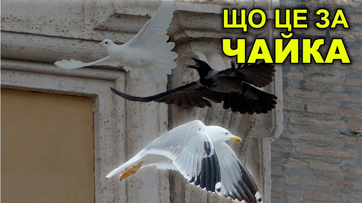 Від кого було знамення 26 (чи 27) січня 2014 року про війну в Україні