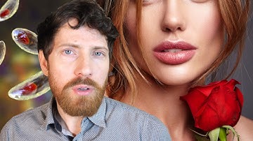 The Cat Parasite Lie: Where Humans Really Get Toxoplasmosis