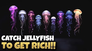 I Made QUADRILLIONS Catching Jellyfish!