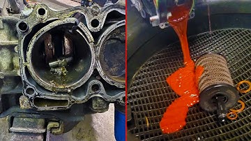 Customer States (Catastrophic Failures 2025) | Just Rolled In