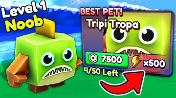 Starting Over as NOOB with EVERY OP PET in Brainrot Tsunami!