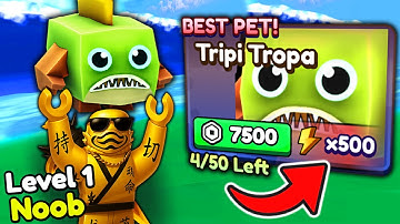 Starting Over as NOOB with EVERY OP PET in Brainrot Tsunami!