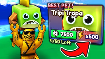 Starting Over as NOOB with EVERY OP PET in Brainrot Tsunami!