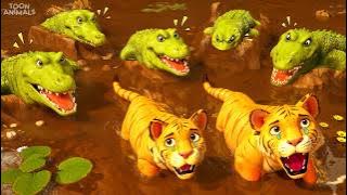 Alligators Attack Tiger Cubs 🐊🐯- Epic Animals Rescue | Animal Kingdom Adventures