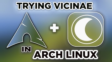 I Tried Vicinae for the First Time — Interesting & Chaotic