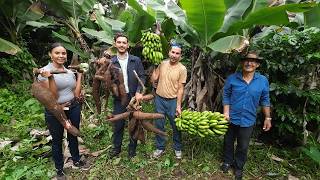 Sacamos YUCA DE CUATRO AÑOS del VIEJO LOLO