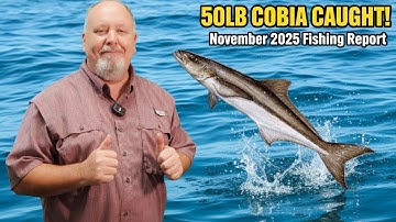 Visrapport Sebastian Inlet: 50lb Cobia Monster gevangen!