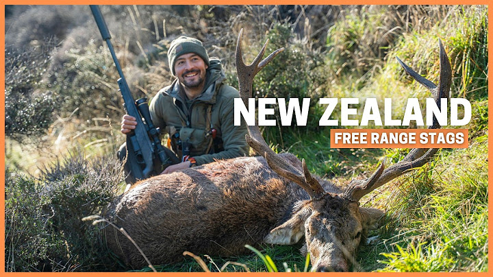 Free Range Red Stag Hunting in New Zealand Teaches VALUABLE Lesson