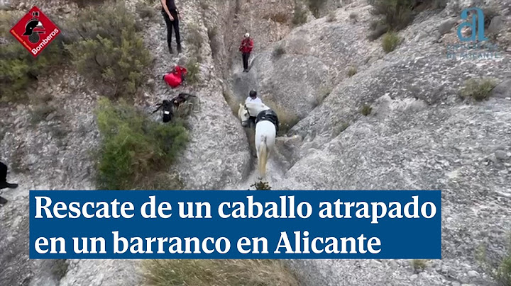 Bomberos rescatan a un caballo atrapado cuando cruzaba un barranco en Albatera Alicante
