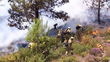 Portugal Beyond the Beaches: Exploring Stunning Natural Parks in 2025