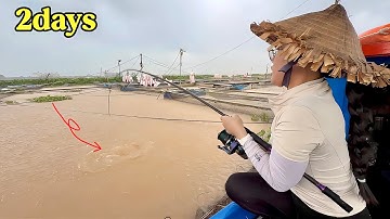 Không Ngờ Câu Trúng Bầy Cá Tra Khủng Sông Đồng Nai Sau 2 ngày Chinh Phục - Kéo Đã Tay