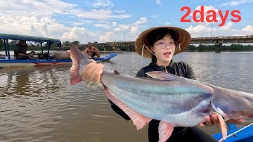 Không Ngờ Câu Trúng Bầy Cá Tra Khủng Sông Đồng Nai Kéo Đã Tay