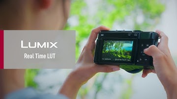LUMIX Lab | Real Time LUT