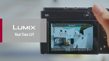 LUMIX Lab | Real Time LUT
