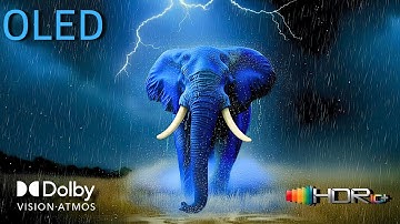 Your TV Has Never Looked This Dolby Vision Ultra HD so Good (8K/4K TV)