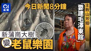 今日新聞｜新蒲崗大樹群鼠亂竄 街坊：嚇到女仔嗌救命｜佔主教山官地搭竹棚事主現身 稱要建毛澤東館拒執行清拆令｜01新聞｜鄺士山｜老鼠｜主教山｜高市早苗｜2025年11月18日#hongkongnews