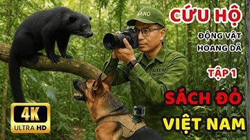 Cứu hộ động vật hoang dã. Thả thú rừng về lại thiên nhiên. Wildlife rescue