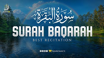 Surah Al Baqarah سورة البقرة | Ultimate Peace & Healing for a Calm Mind & Soul | Peaceful Quran TV