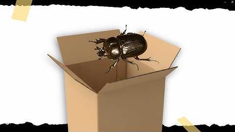 Why did Wittgenstein putted a beetle in a box ? #wittgenstein #thoughexperiment