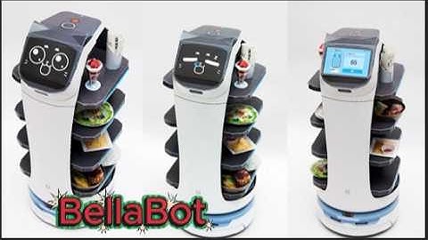 BellaBot, Premium Delivery Robot | Pudu Robotics
